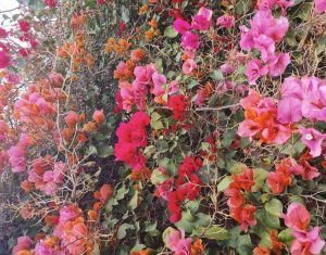 Andalusien-Seminar 48d1dc3b 8ee5 4ae1 b4e6 3f7bb3611d5f