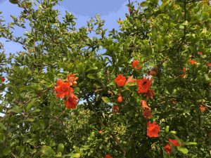 Andalusien-Seminar img 1421