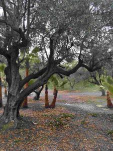 Andalusien-Seminar img 1923