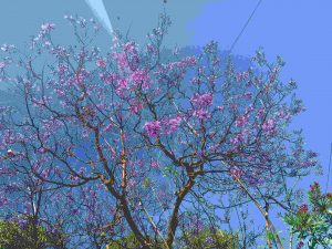 Andalusien-Seminar img 5885